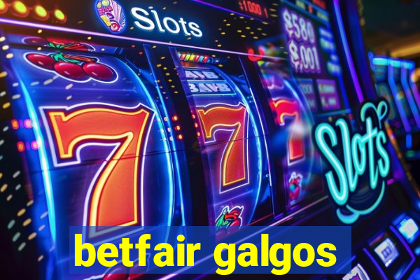 betfair galgos