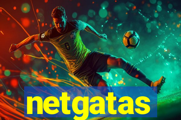 netgatas