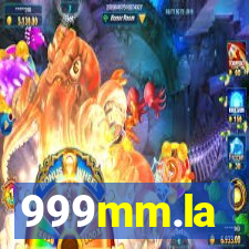 999mm.la