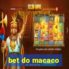 bet do macaco