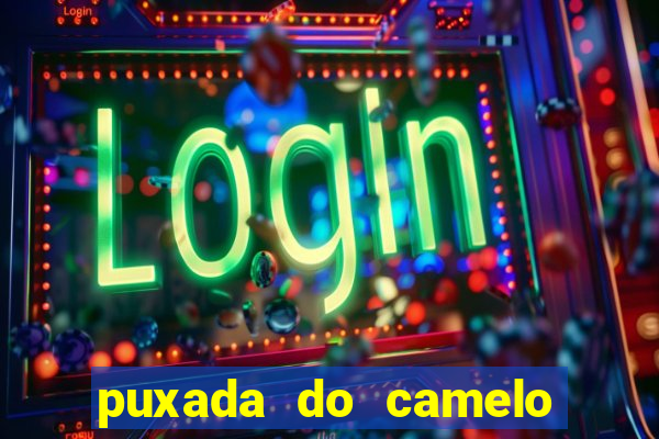 puxada do camelo jogo do bicho