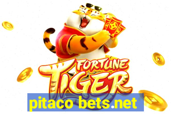 pitaco bets.net