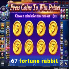 67 fortune rabbit