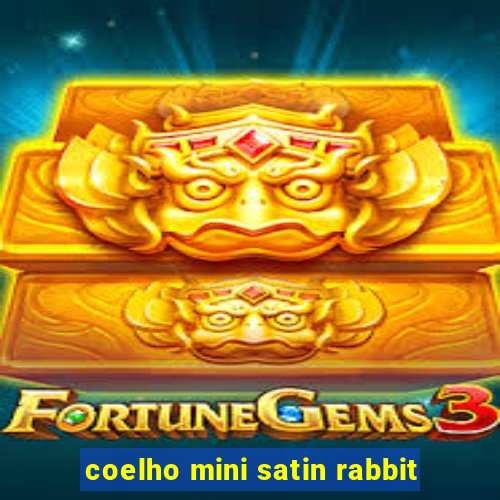 coelho mini satin rabbit