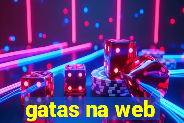 gatas na web