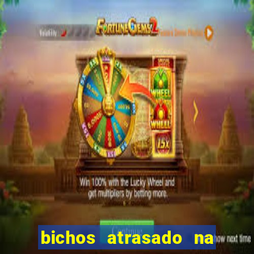 bichos atrasado na loteria dos sonhos