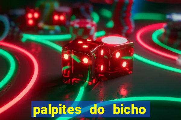 palpites do bicho no celular