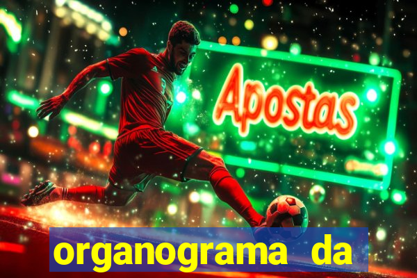 organograma da cacau show