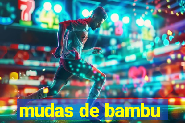 mudas de bambu