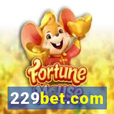 229bet.com