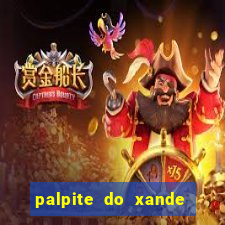 palpite do xande de hoje