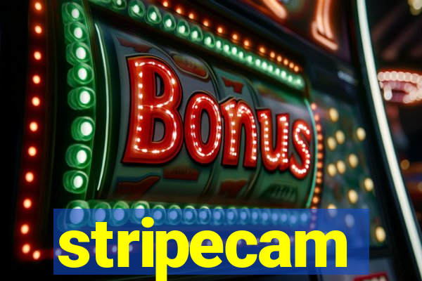 stripecam