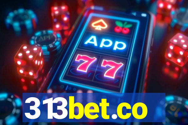 313bet.co