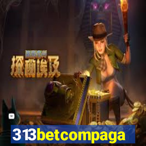 313betcompaga