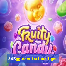 365gg.com-fortune tiger