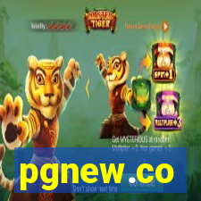 pgnew.co