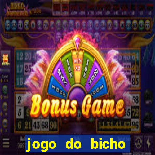 jogo do bicho crash bingo