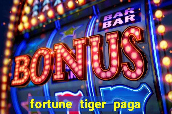 fortune tiger paga de madrugada