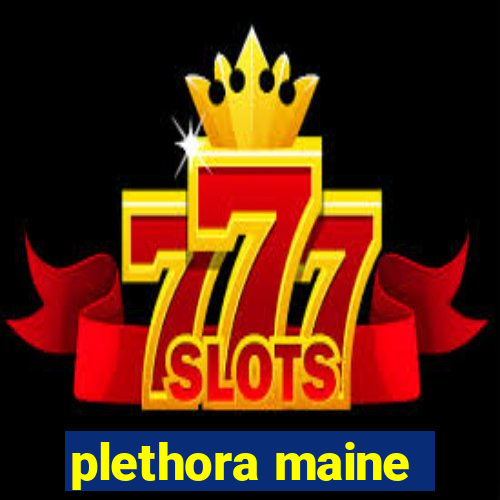 plethora maine