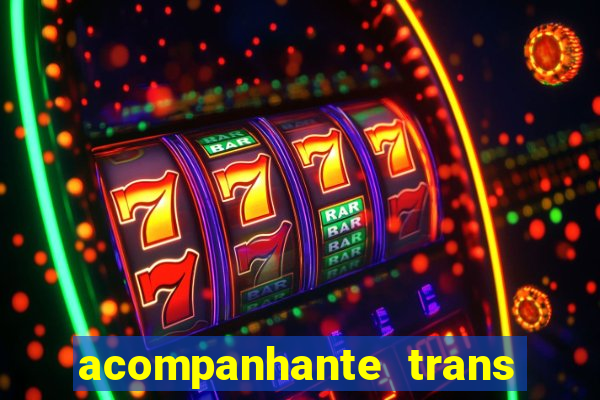 acompanhante trans em santos