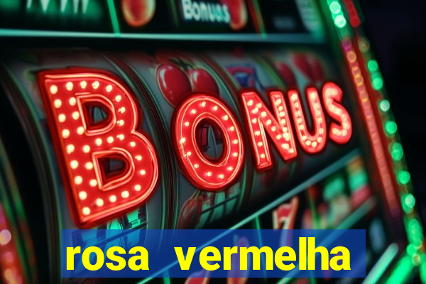 rosa vermelha (letra e cifra)