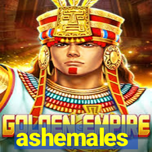 ashemales