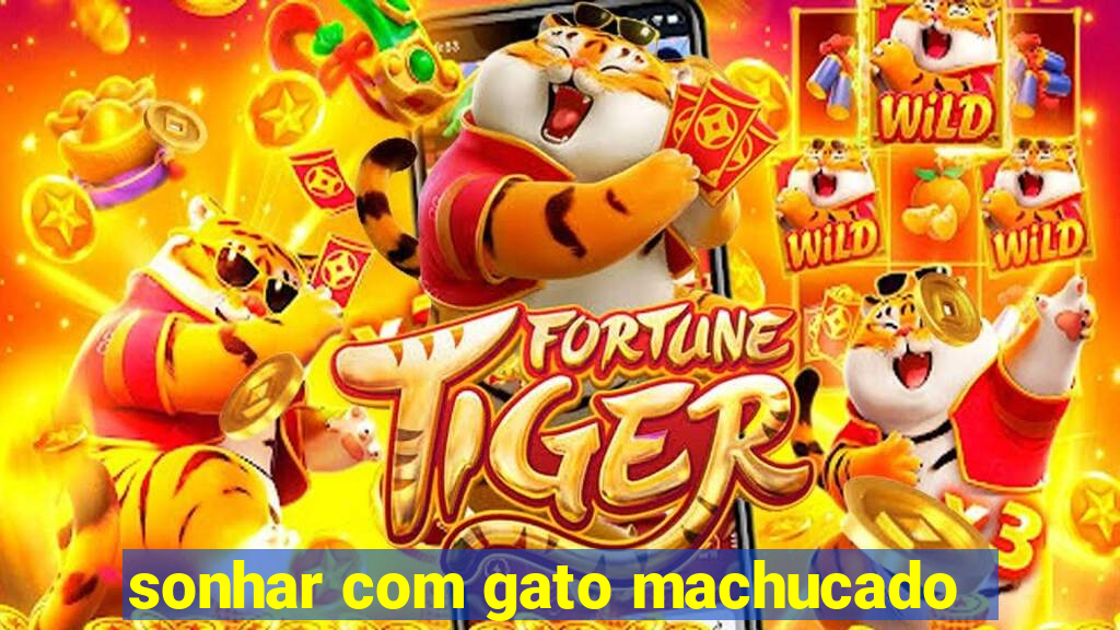 sonhar com gato machucado