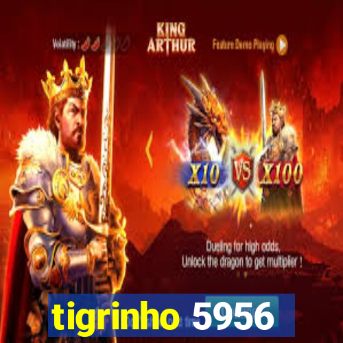 tigrinho 5956