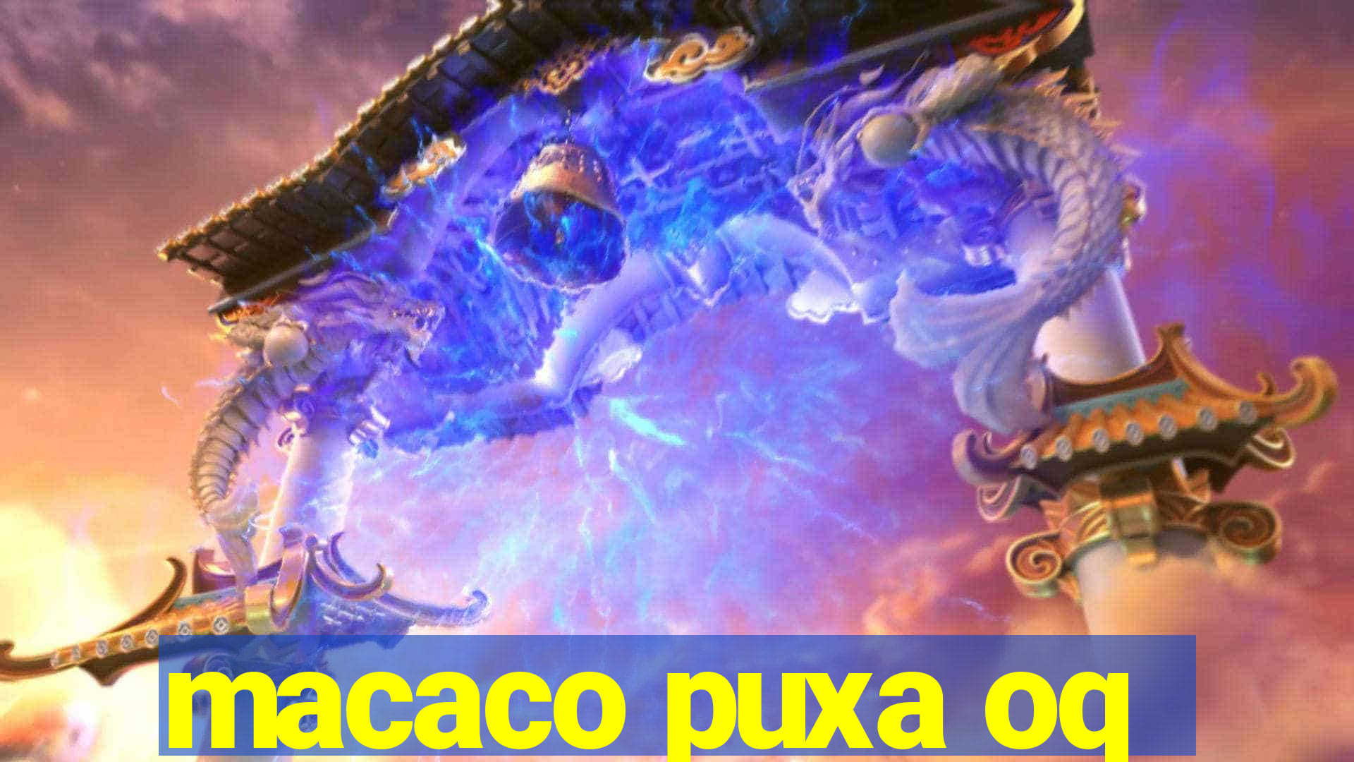 macaco puxa oq