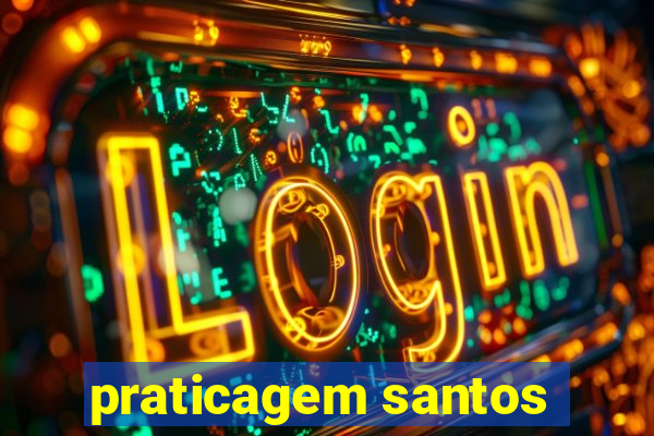 praticagem santos