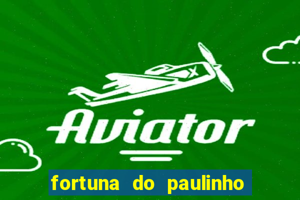 fortuna do paulinho do roupa nova