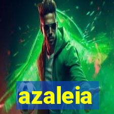 azaleia-br.com