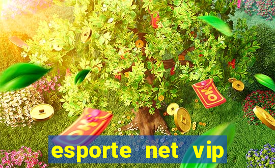 esporte net vip bet apostas