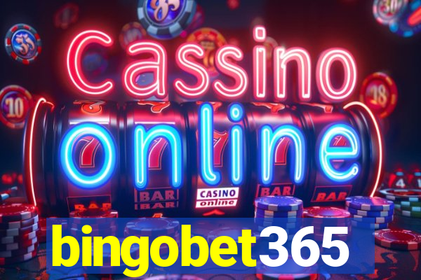 bingobet365