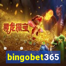 bingobet365