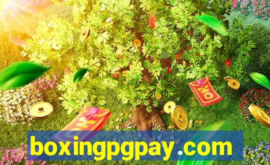 boxingpgpay.com