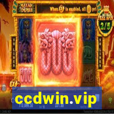 ccdwin.vip