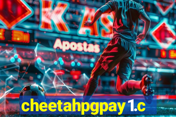 cheetahpgpay1.com