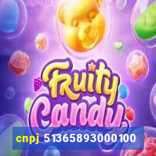 cnpj 51365893000100