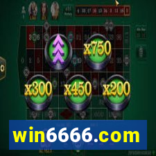 win6666.com