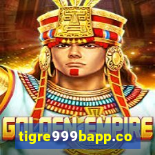 tigre999bapp.com