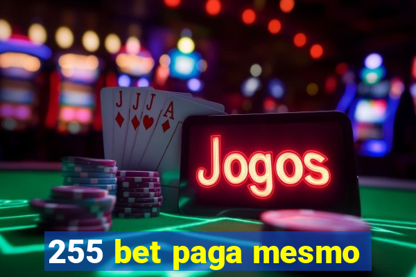 255 bet paga mesmo