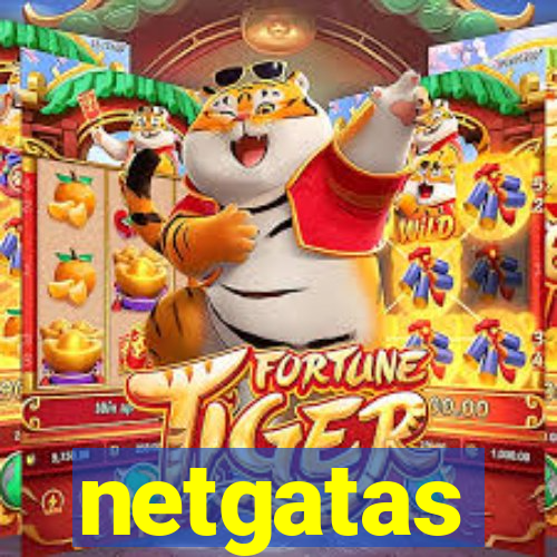 netgatas