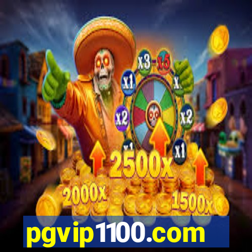 pgvip1100.com