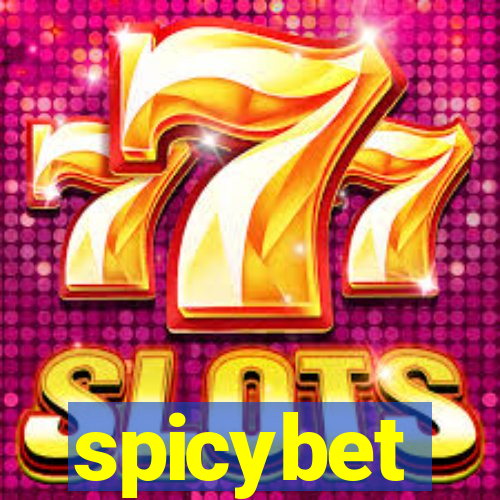 spicybet-2.com