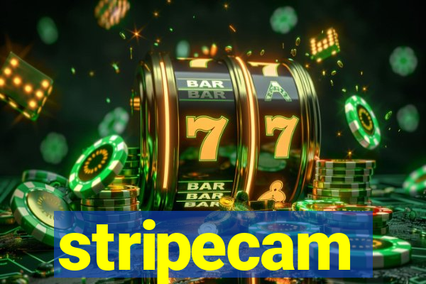 stripecam