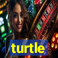 turtle-ty.com