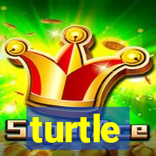 turtle-ty.com