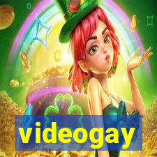 videogay